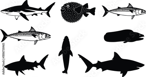 Circular arrangement of fish vector silhouettes including shark, eel, pufferfish, and mackerel for marine wildlife illustration and design use