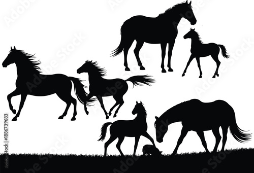 Horse silhouettes set, galloping and grazing horses, mare with foal, equestrian animal collection, black vector, isolated