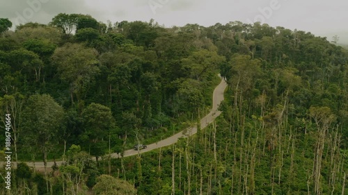 Aerial view of a winding road slicing through dense green forestation, highlighting the contrast between nature and infrastructure, Sakleshpura, Karnataka, India.