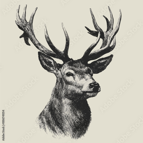 Created a Majestic Deer Stag Head with Large Antlers Vector Illustration Royal King Animal Portrait Heraldic Logo Design in black and white background