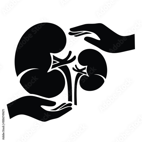 Black silhouette of human hands protecting two kidneys on white background organ