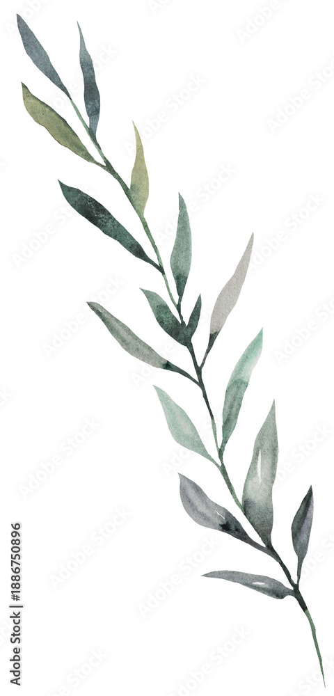 Fototapeta premium Watercolor twig with light green leaves isolated illustration, pastel wedding stationery element