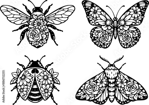 Insect Line Art Set for Cricut Cutting, Butterfly Bee and Moth Black and White Vector Cut File for Crafts and Decor