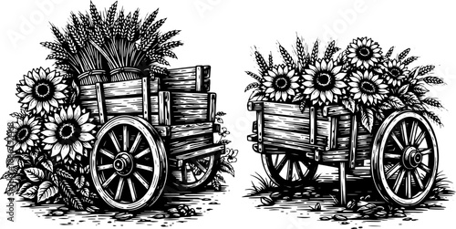Vintage Wooden Carts Filled With Sunflowers, Rustic Farm Wagons in Engraving Style Black and White Illustration for Prints and Decor