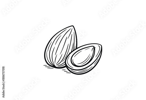 Almond Nut Silhouette Icon stcok Vector.