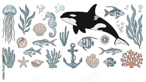 A collection of hand-drawn sea life illustrations including a killer whale, jellyfish, fish, and other marine elements.