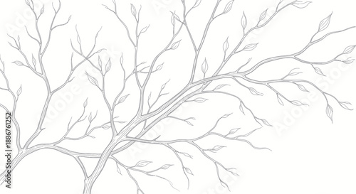 Minimalist line drawing of tree branches with delicate leaves on a white background.