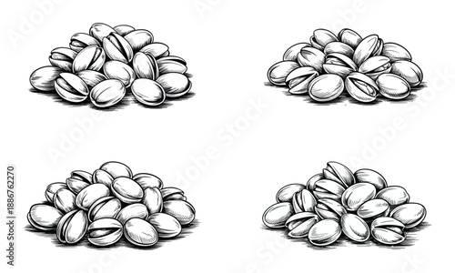 Pistachio nuts pile hand drawn illustration

