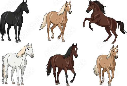 Horse breeds and poses collection with standing walking and rearing horses vector illustration set