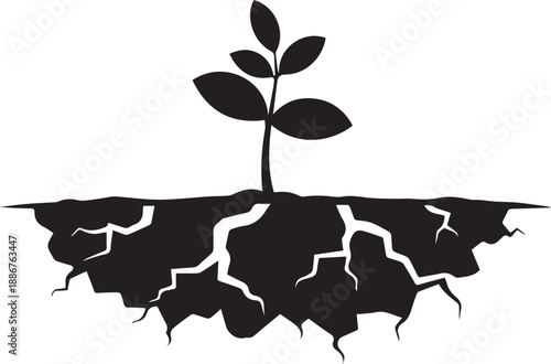 Young plant growing from cracked earth soil with roots vector silhouette illustration