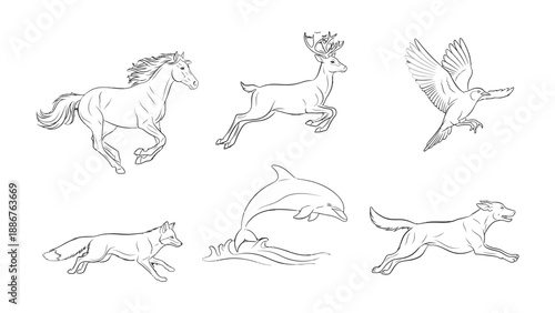 Diverse Wildlife Sketchbook: A captivating collection of sketches showcasing the grace and power of various animals in motion, from the soaring eagle to the galloping horse.