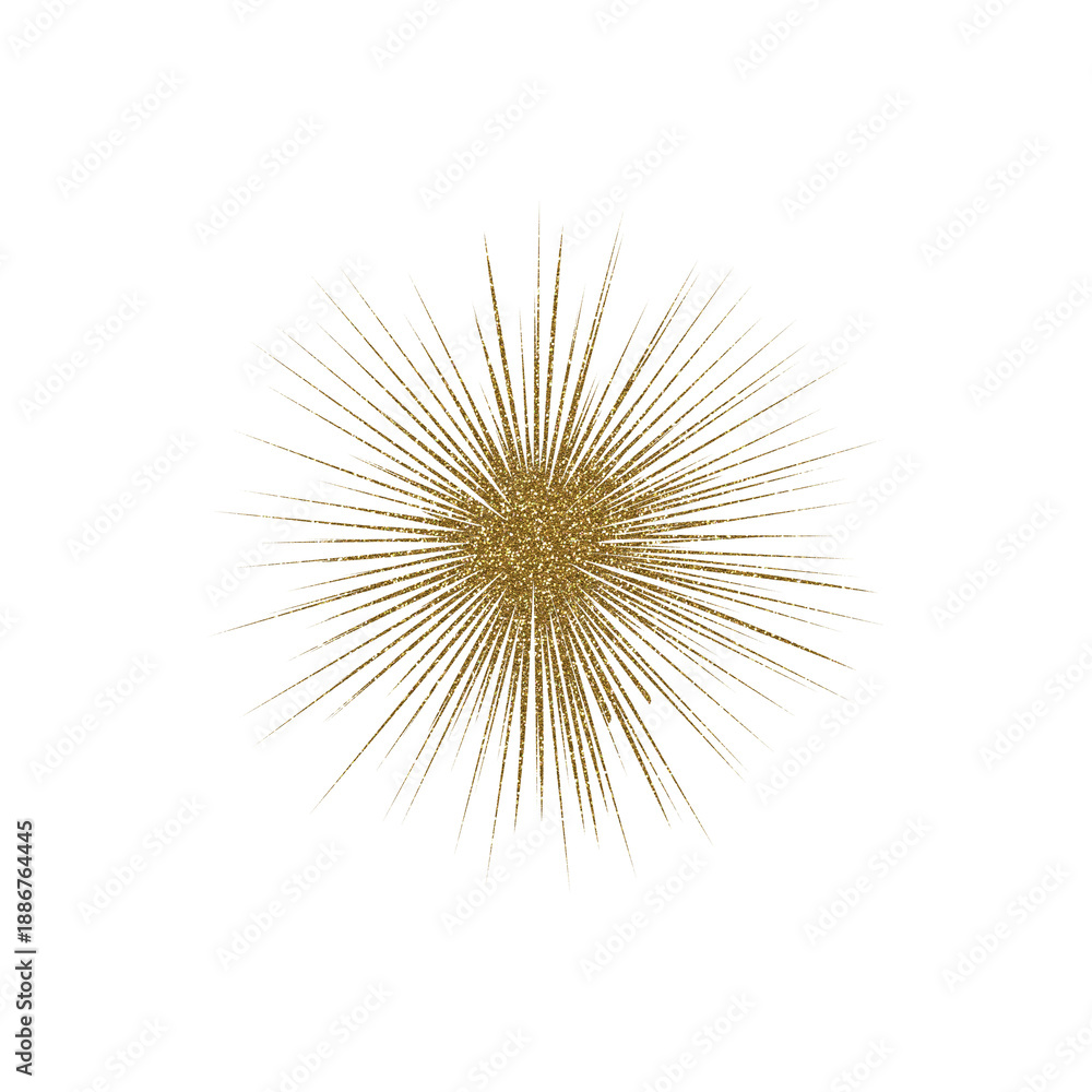 Obraz premium Gold circle. Golden sparkle ring. Shining circle frame, glowing halo aura and bright light particles. Luxury gold border isolated on transparent background for design. Flower gold ring