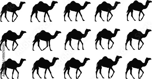 Black camel silhouette set with walking animation frames for motion graphics isolated on white background for desert travel and safari adventure design projects