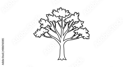 Illustration of a tree with detailed foliage and branches in black and white