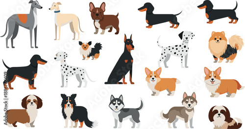 Large collection of different dog breeds vector illustrations isolated on white background