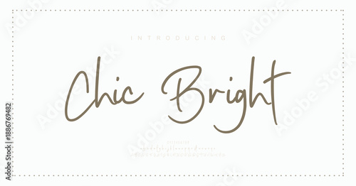 Chic Bright, Script Font Uppercase Lowercase and Number. Classic Lettering Minimal Fashion Designs. Typography modern Serif fonts regular decorative vintage concept.
