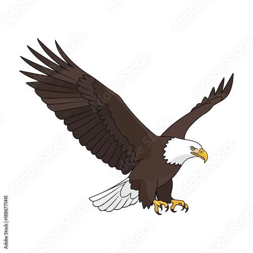 Bald eagle vector illustration perched on branch against white background design