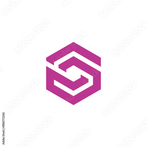 Elegant Hexagonal S Monogram Logo Design with Modern Geometric Shapes in a Striking Fuchsia Hue