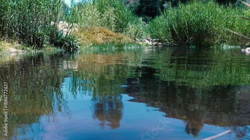 Tranquil river scene with vibrant greenery and reflective water surface Cederberg, South Africa
