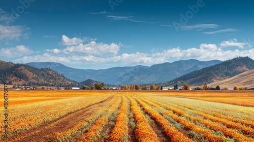 Wallpaper Mural Expansive autumnal farmland stretches toward a mountain range under a vibrant blue sky with fluffy clouds Torontodigital.ca