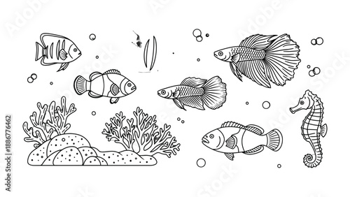 Marine Life Illustration: An intricate illustration, showcasing diverse marine life, evokes the ocean's charm and natural beauty.