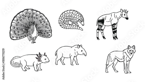 A Symphony of Wildlife: An artful illustration showcases a curated collection of diverse animals, each rendered with meticulous detail. It's a tribute to nature's incredible range.