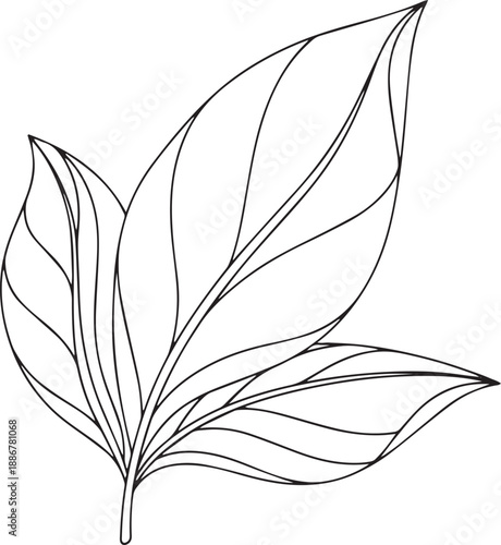 Tropical leaf outline – Minimal generic botanical line art vector