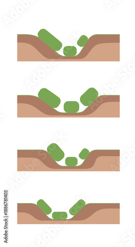 Microbial Cell Adhesion Process Diagram Illustrating Surface Interaction Dynamics