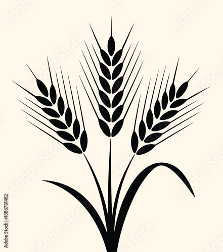 stylized black silhouette of three wheat stalks with leaves isolated on white background representing agriculture harvest grain farming and natural food design.