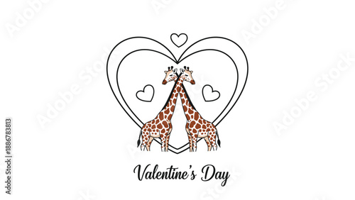 Two elegant giraffes standing close together inside a large heart outline to celebrate valentine's day with a romantic and sweet animal message.