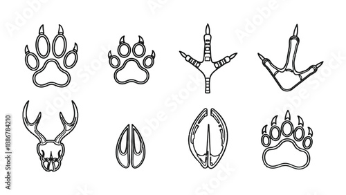 Animal Tracks Illustration: A detailed illustration showcasing a diverse array of animal tracks, providing a glimpse into the hidden trails of nature.