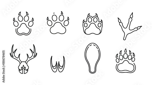 Animal Track Patterns: A curated collection of diverse animal track patterns, perfect for educational resources, creative projects, or outdoor-themed designs.