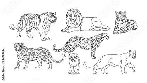Magnificent Wildlife: Detailed black and white illustrations of diverse wild cats, showcasing their unique patterns and majestic forms, perfect for artistic and educational purposes.