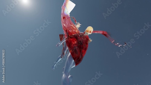 Two surreal female forms made of translucent glass soar through the air with billowing transparent drapery, representing the abstract idea of touch and connection.