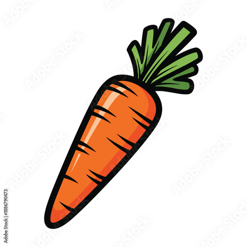 Fresh carrot illustration on white background