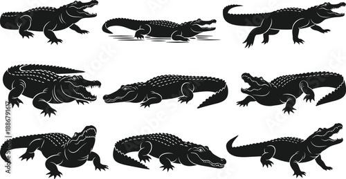 Crocodile and alligator silhouette pose collection isolated on white background for wildlife illustration, reptile design, nature symbol, vector graphic set