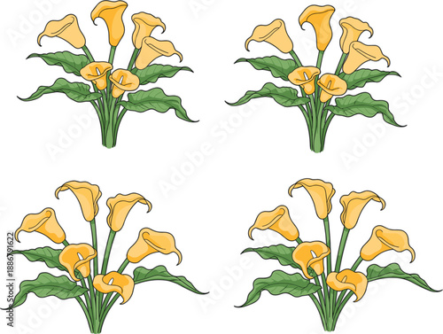 Flat vector illustration set of elegant yellow calla lily flower bouquets with green leaves isolated on a white background