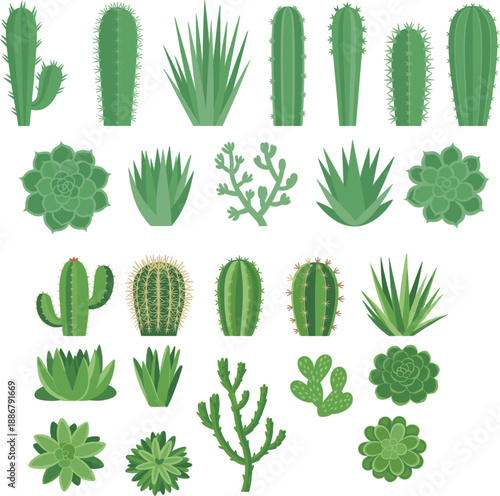 Flat vector illustration set of various green desert cactus and succulent plant icons isolated on a white background