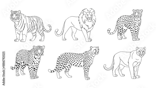Wild Cats Lineup: A captivating illustration featuring a series of wild cats, each portrayed with intricate detail, forming a dynamic collection of nature's majestic creatures.
