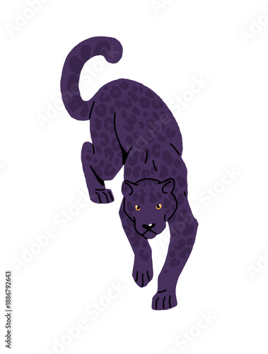 Panther of tropical forest is sneaking. Black cougar with spotted coat hunts in jungle. Big wild cat. Feline animal of rainforest. Wildcat is walking. Flat isolated vector illustration on white