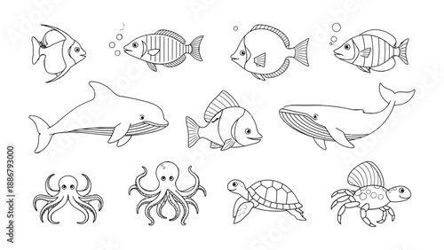 Marine Life Doodle: A delightful black and white illustration of various marine creatures, perfect for educational or creative projects.  