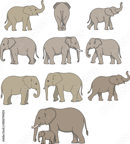 Flat vector illustration set of various grey african elephant characters and a small baby calf isolated on white background