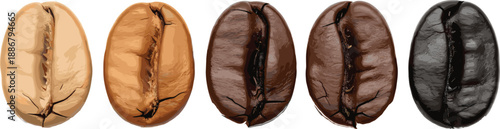 Professional Coffee Bean Roast Level Chart with Light, Medium, and Dark Roasted Beans Isolated on White Background for Cafe Menus and Branding