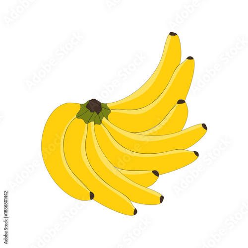 A fresh bunch of ripe yellow organic bananas isolated on a white background makes a healthy tropical fruit snack for a natural vegetarian diet