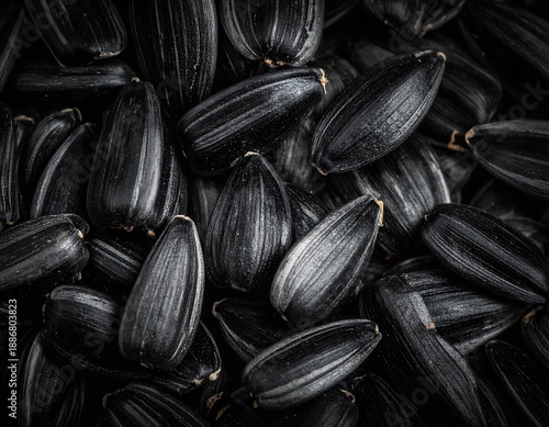 Black Sunflower Seeds Closeup High Quality.