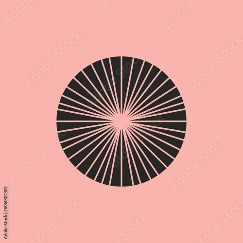 Black radial lines emanating from a central point forming a circle.