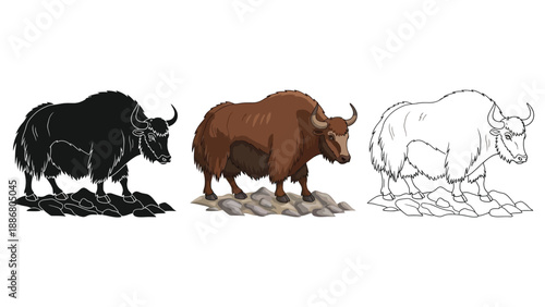 Set of three yak illustrations in black silhouette, colored, and outline styles with rocky elements