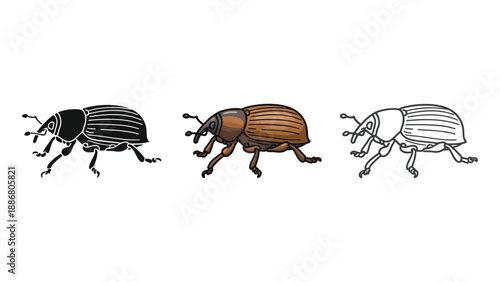 Set of three weevil illustrations in black silhouette, brown color, and outline styles