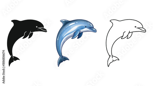 Set of three dolphin illustrations in solid black silhouette, realistic blue color, and outline styles