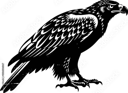 Black eagle standing with sharp beak and detailed feathers in monochrome